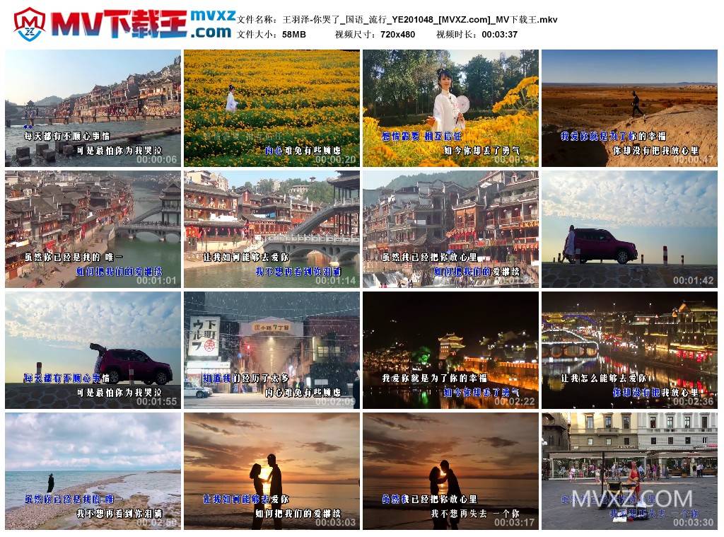 王羽泽-你哭了_国语_流行_YE201048